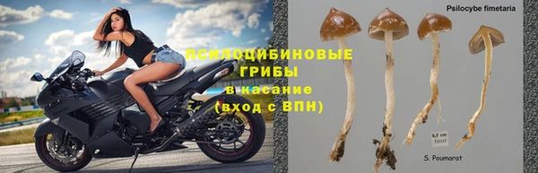 марки lsd Ладушкин