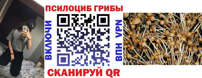 darknet наркотические препараты  Певек  Галлюциногенные грибы прущие грибы  MEGA маркетплейс 