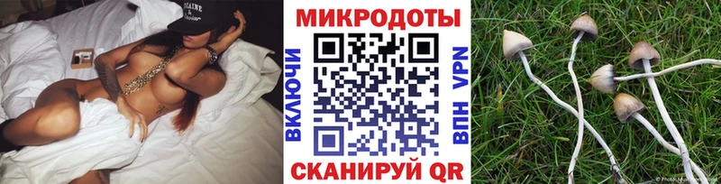 Псилоцибиновые грибы Psilocybine cubensis Певек