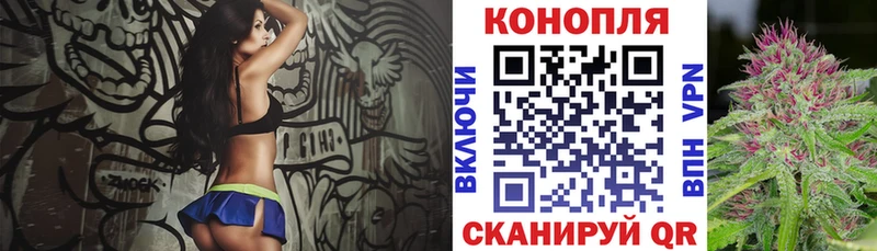 где найти   Певек  Бошки марихуана сатива 